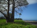 /album/galerie-de-photos-voyages/a25-pomoni-1-jpg/